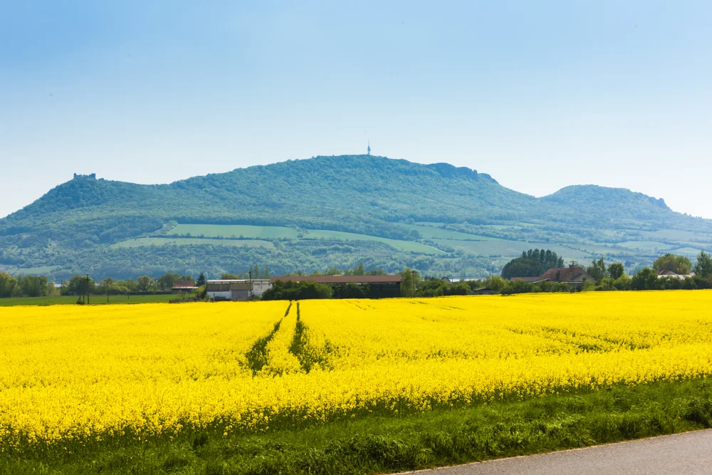 Pálavské kopce a vinice jižní Moravy